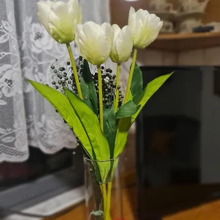 Dani Two Bedroom In Center Of Tirana