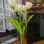 Dani Two Bedroom In Center Of Tirana