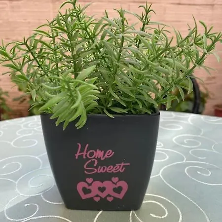 Dani Two Bedroom In Center Of شقة