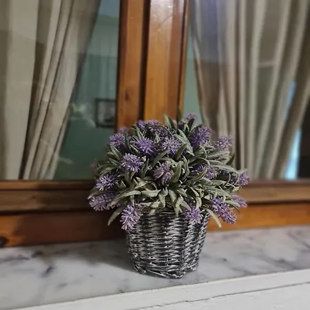 شقة Dani Two Bedroom In Center Of *