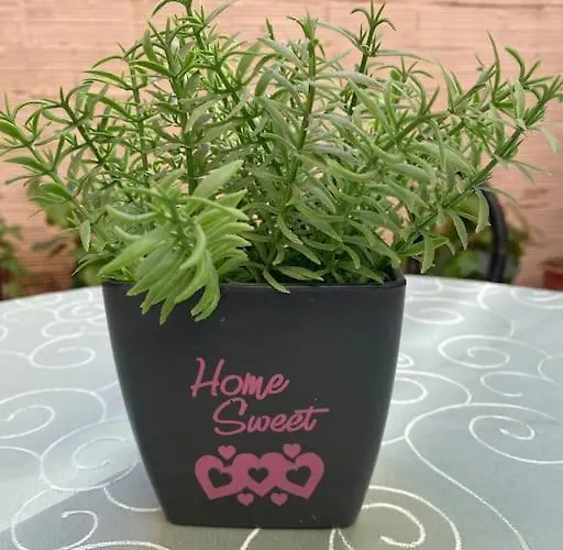 Dani Two Bedroom In Center Of Appartamento