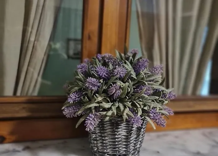 Appartamento Dani Two Bedroom In Center Of *